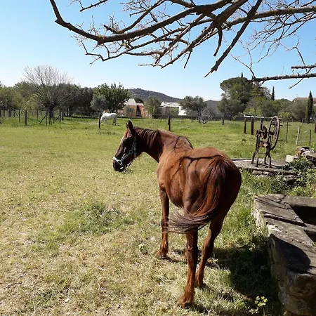 Charming Small House Close To Uzes Semesterbostad